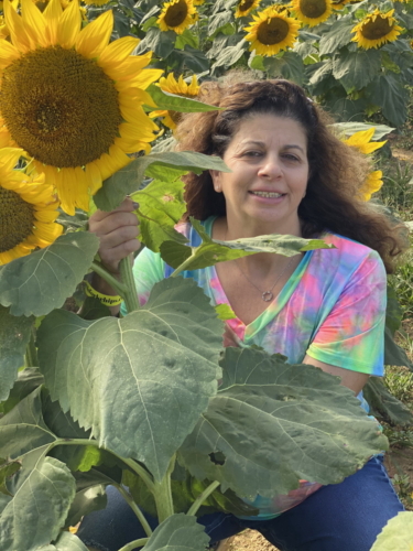 Sunflower 0072