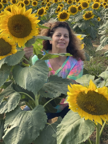 Sunflower 0077