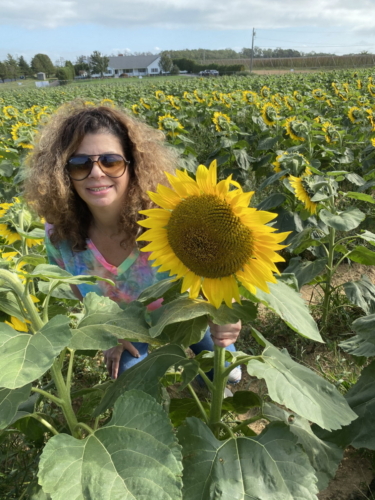 Sunflower 0095