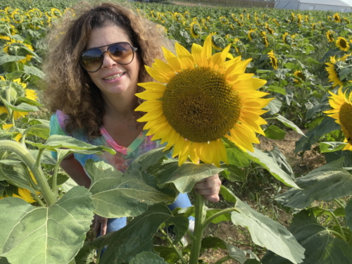 Sunflower 0099